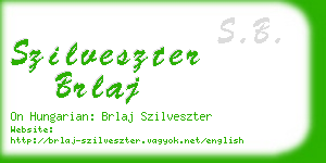 szilveszter brlaj business card